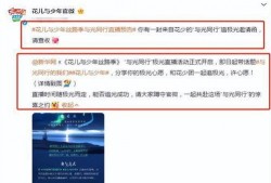 爆料冰岛最新视频,壮观景象震撼全球！