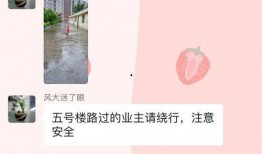 吉林社区爆料新闻最新版,聚焦民生热点事件追踪