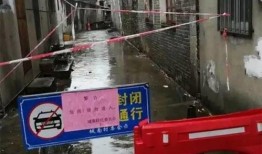 台风最新爆料视频,狂风暴雨肆虐，多地紧急应对