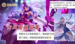 昭君新皮肤爆料最新消息,冰雪佳人，美艳动人